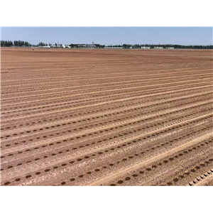 民樂縣高標(biāo)準(zhǔn)農(nóng)田建設(shè)項目